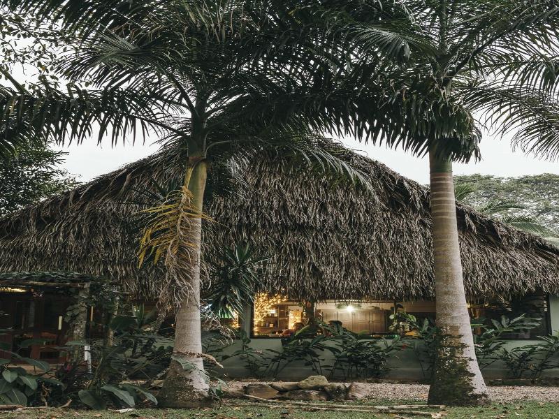 Bocawina Rainforest Resort & Adventures image