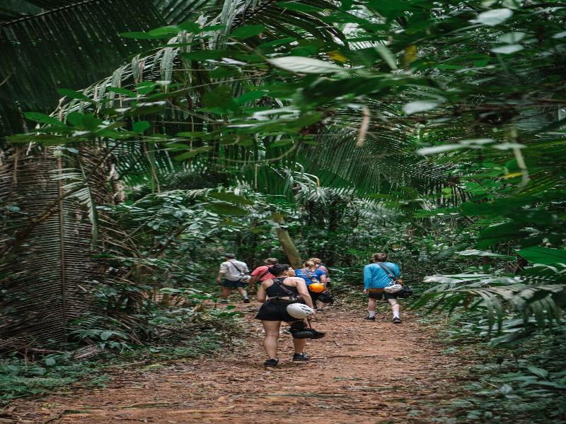 Bocawina Rainforest Resort & Adventures image