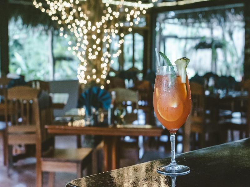 Bocawina Rainforest Resort & Adventures image