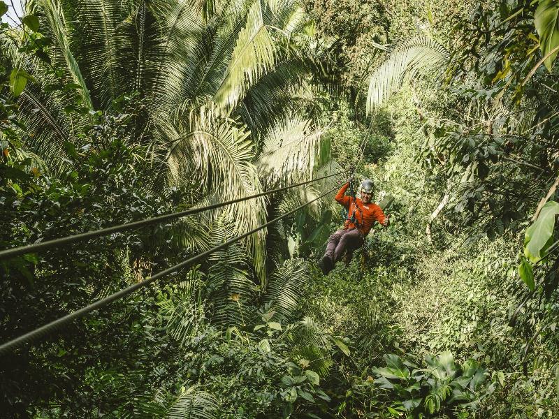 Bocawina Rainforest Resort & Adventures image