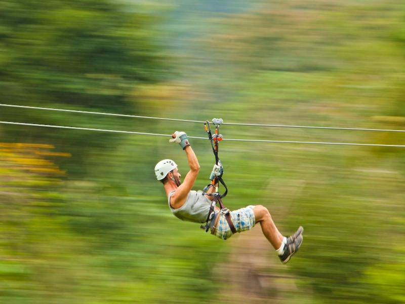 Bocawina Rainforest Resort & Adventures image