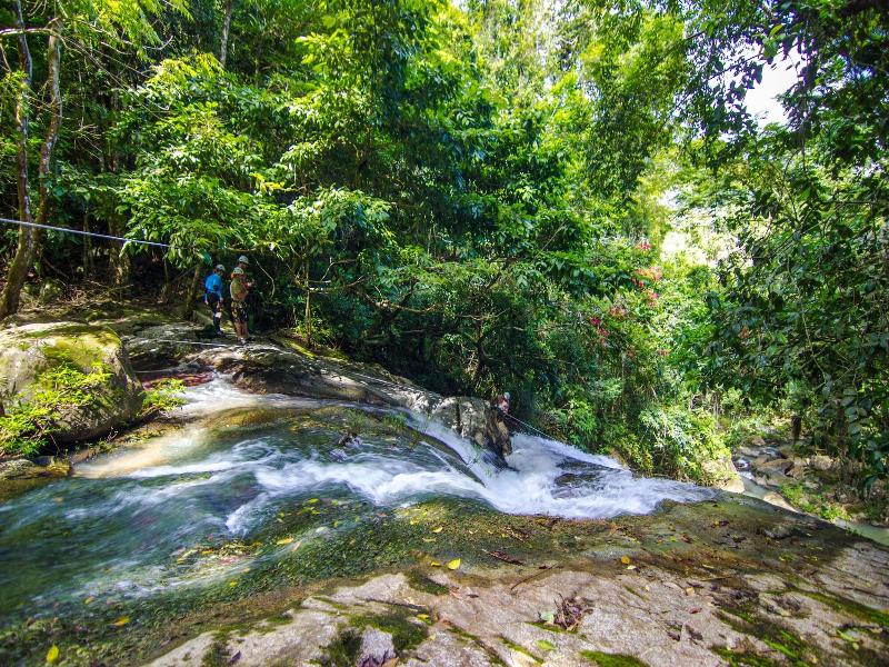 Bocawina Rainforest Resort & Adventures image