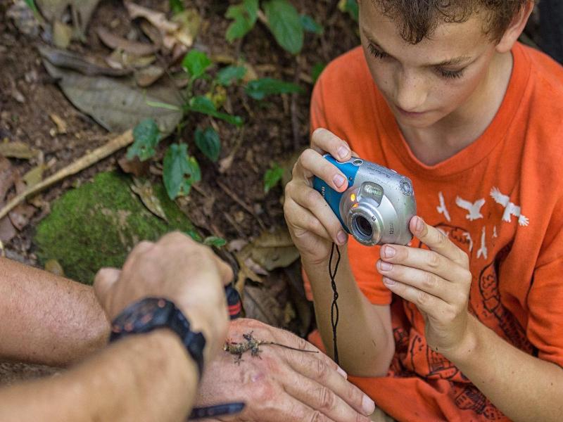 Bocawina Rainforest Resort & Adventures image