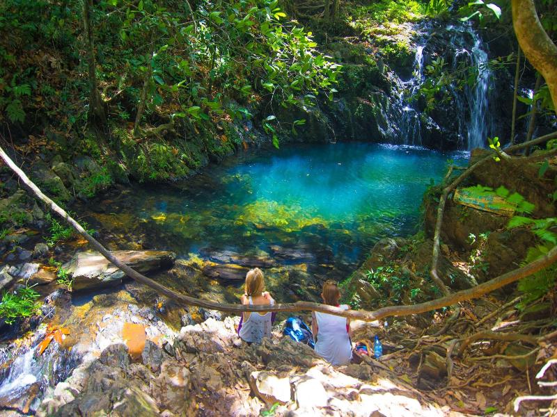 Bocawina Rainforest Resort & Adventures image