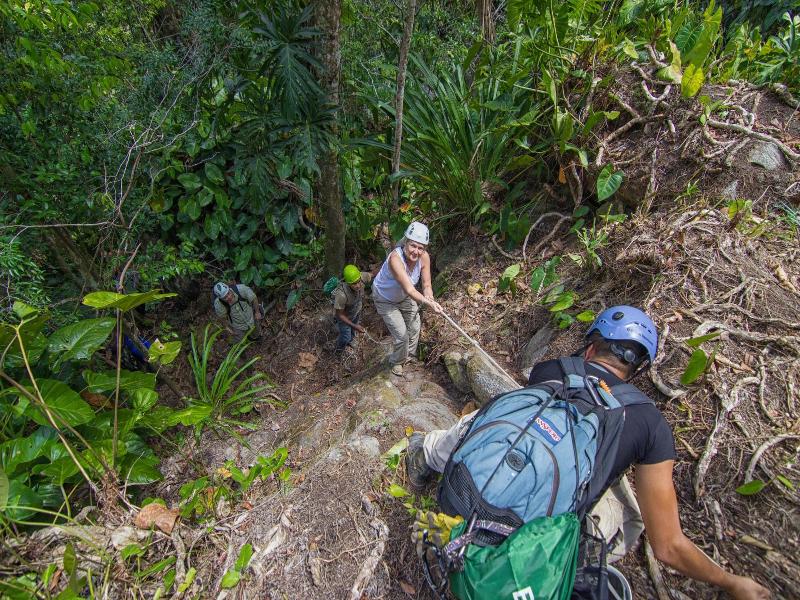 Bocawina Rainforest Resort & Adventures image