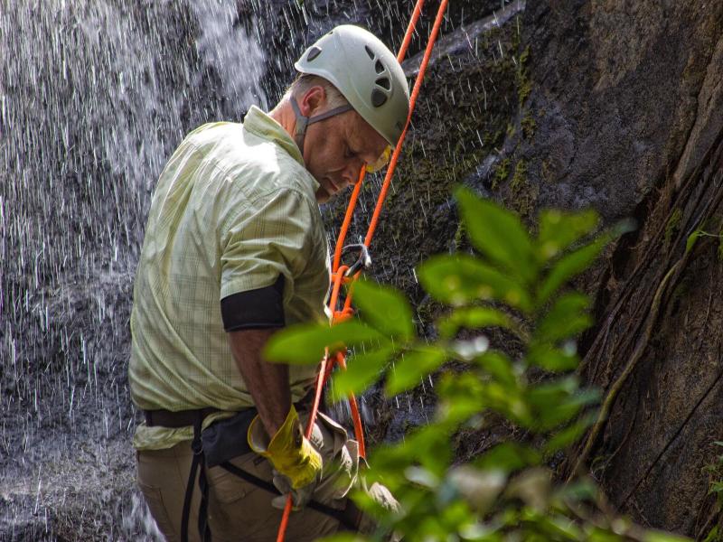 Bocawina Rainforest Resort & Adventures image