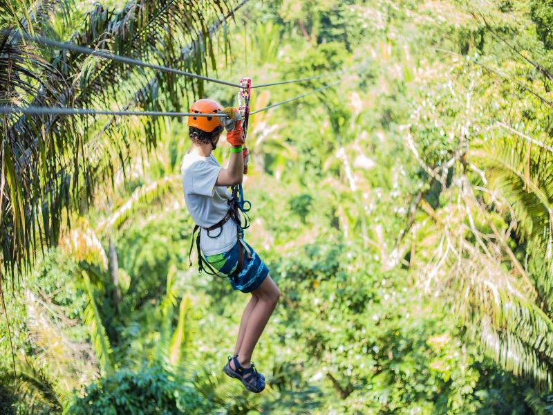 Bocawina Rainforest Resort & Adventures image