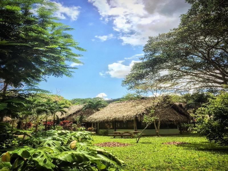 Bocawina Rainforest Resort & Adventures image