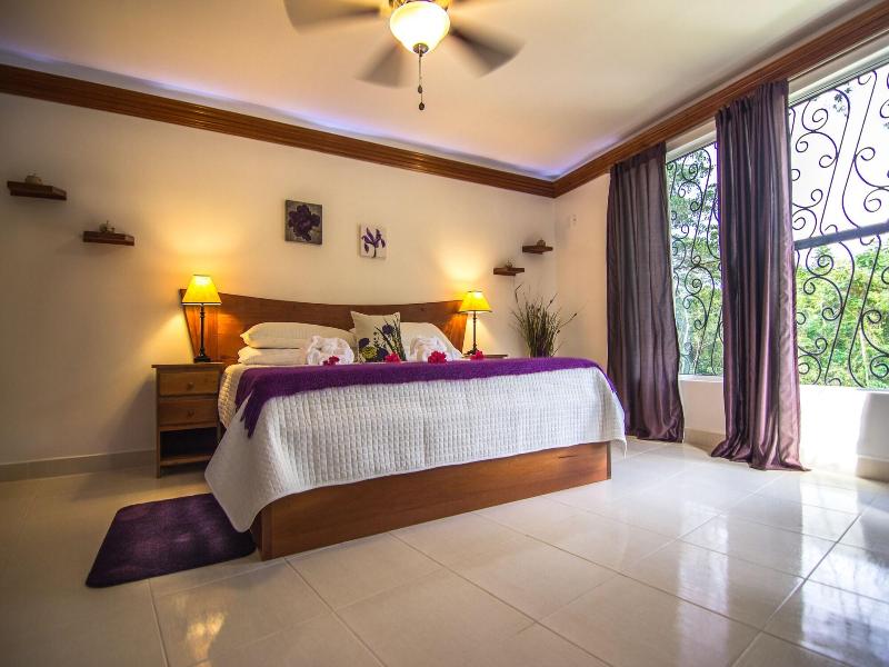 Bocawina Rainforest Resort & Adventures image