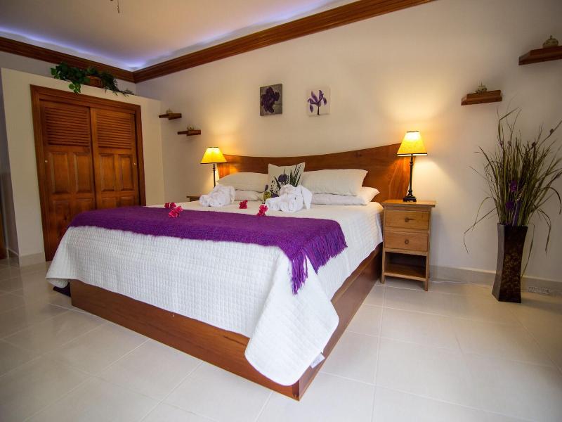 Bocawina Rainforest Resort & Adventures image