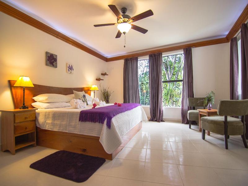 Bocawina Rainforest Resort & Adventures image