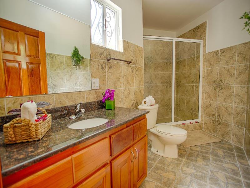 Bocawina Rainforest Resort & Adventures image