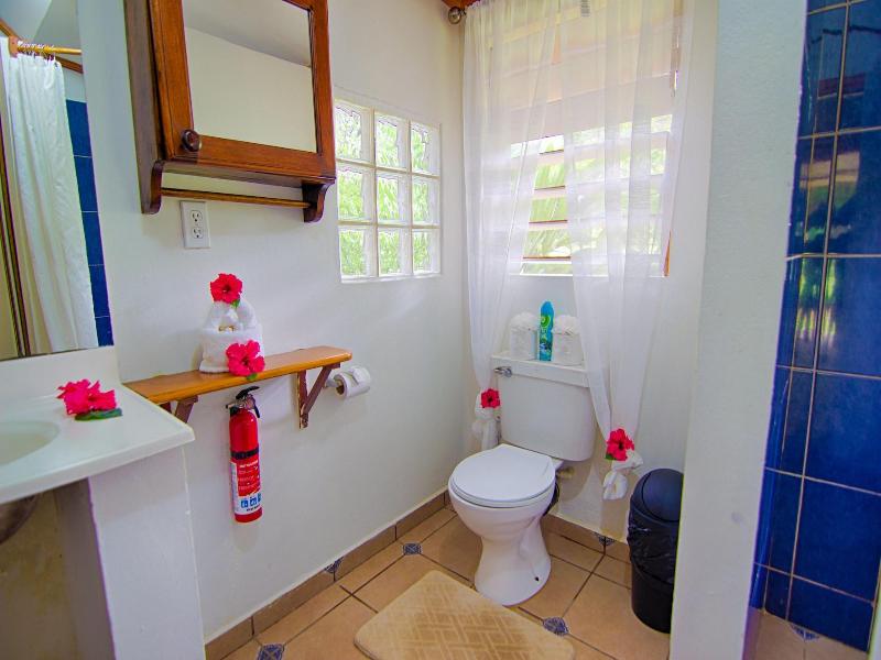 Bocawina Rainforest Resort & Adventures image