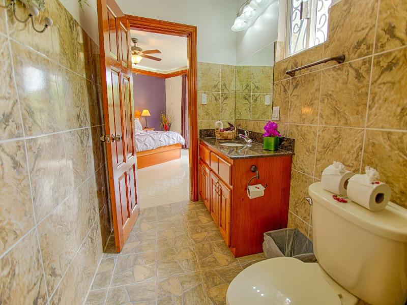 Bocawina Rainforest Resort & Adventures image