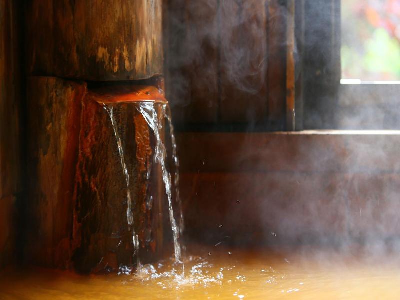 Meiji Onsen Ryokan image