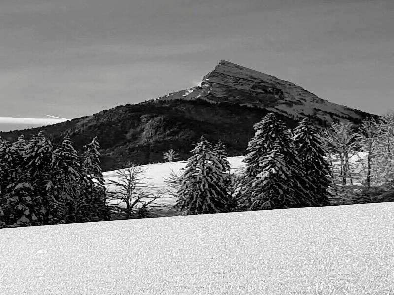 Le Valombre image
