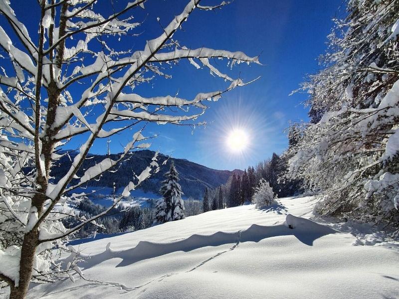 Le Valombre image