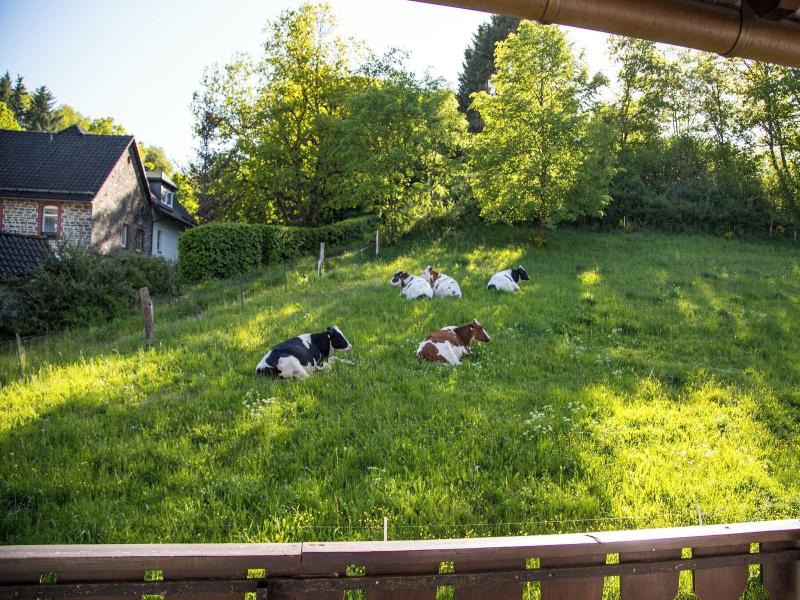 Landidyll Landaus Liesetal image
