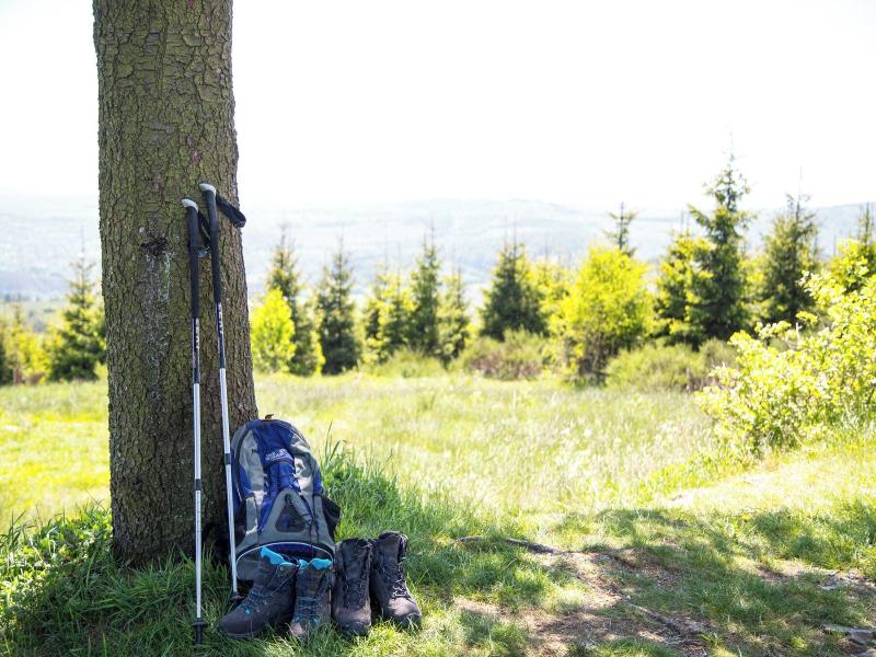 Landidyll Landaus Liesetal image