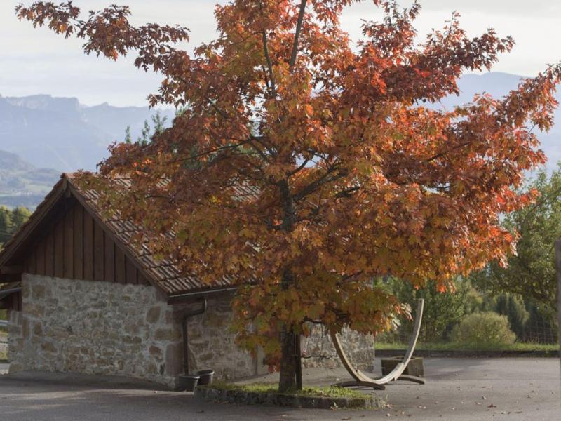Le Bonheur Dans Le Prã© image