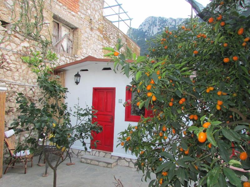 B&b Palazzo A Mare image