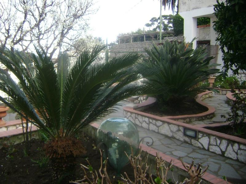 B&b Palazzo A Mare image