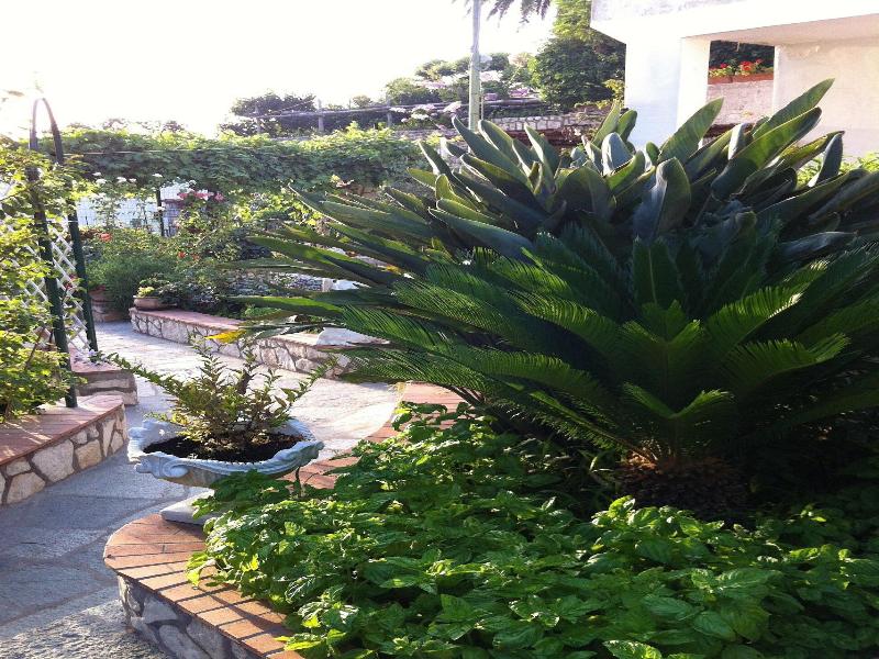B&b Palazzo A Mare image