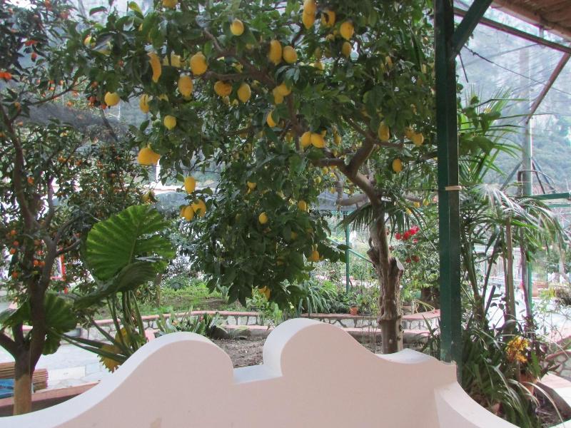 B&b Palazzo A Mare image