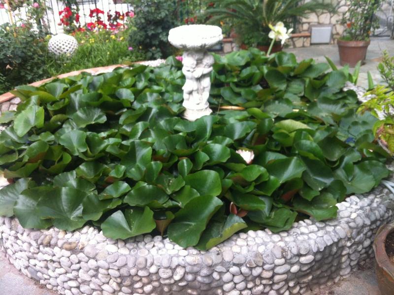 B&b Palazzo A Mare image