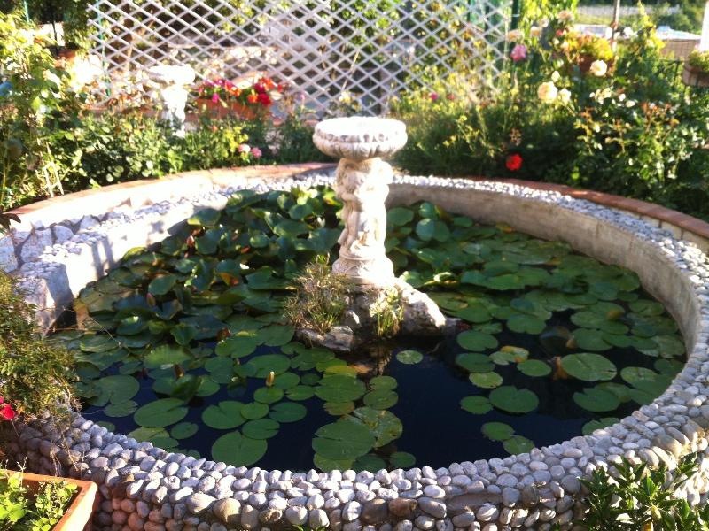 B&b Palazzo A Mare image