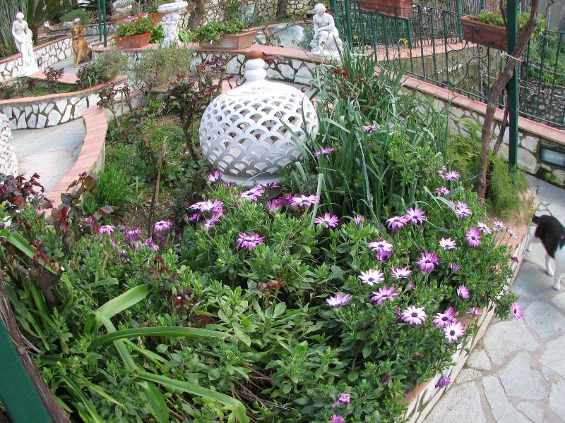 B&b Palazzo A Mare image