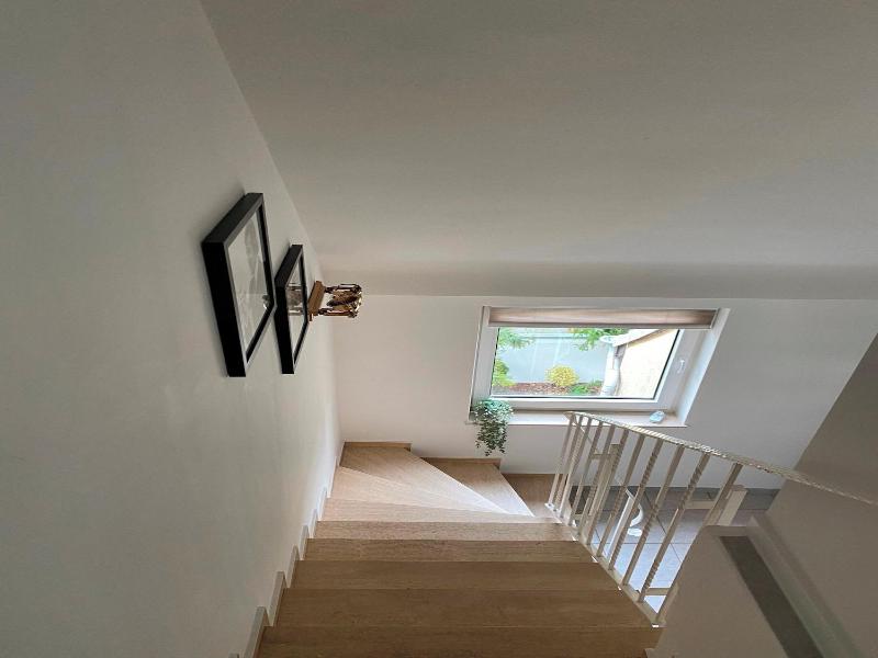 Rheinblick Appartments image