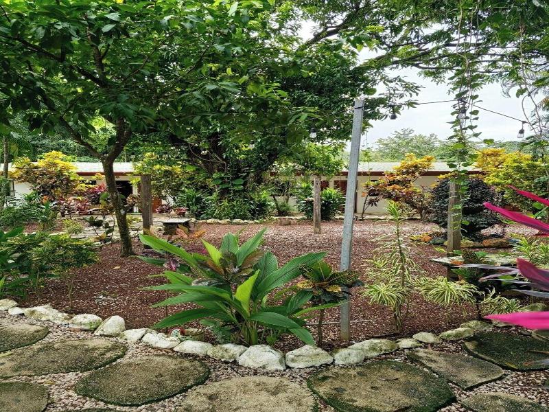 Buddha Retreat Hotel image