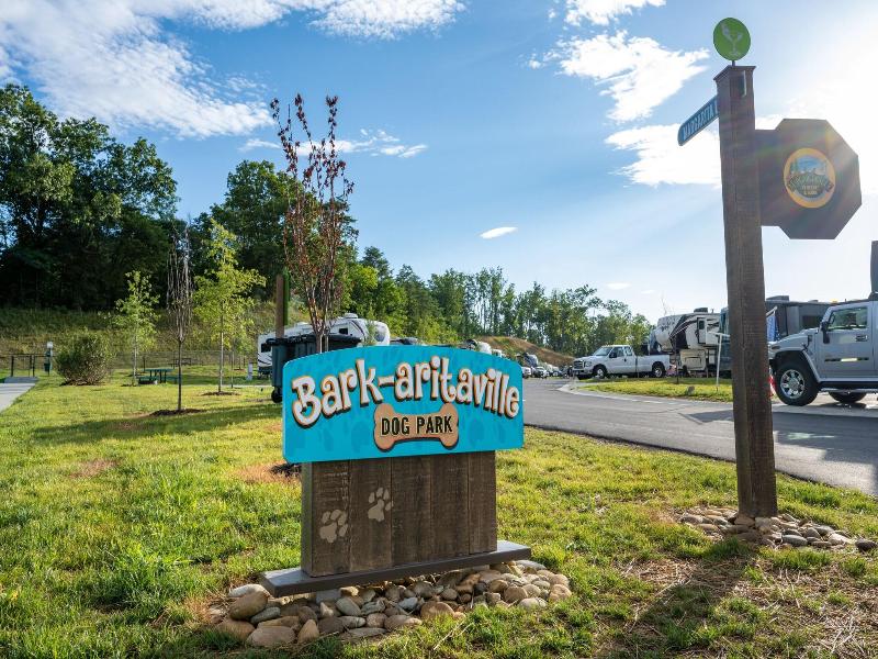The Lodge At Camp Margaritaville