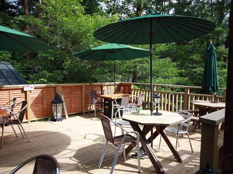 Pension And Log Cottage Hoshinoko image