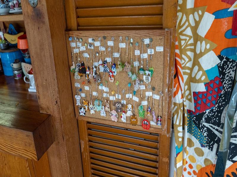 Pension And Log Cottage Hoshinoko image