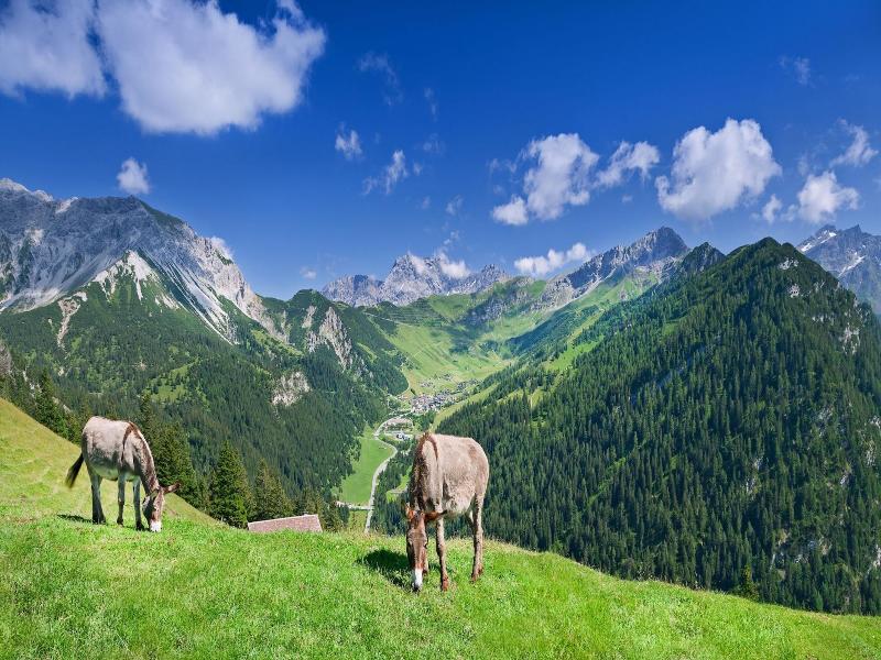 Hotel Oberland image