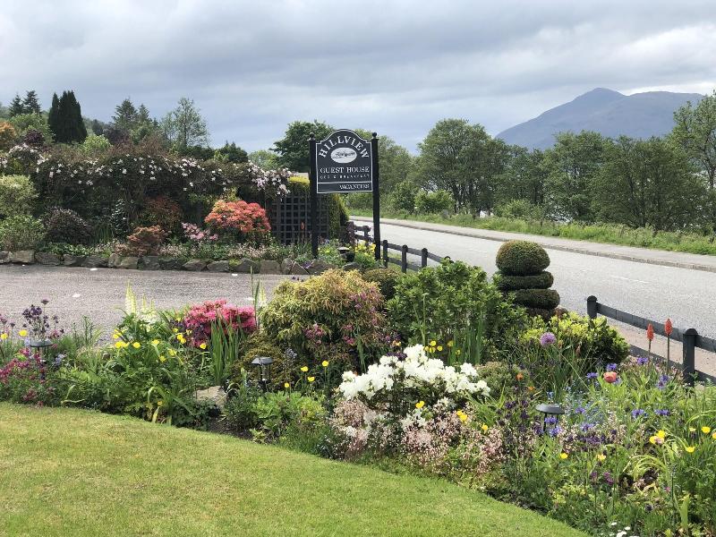 Hillview Guest House image