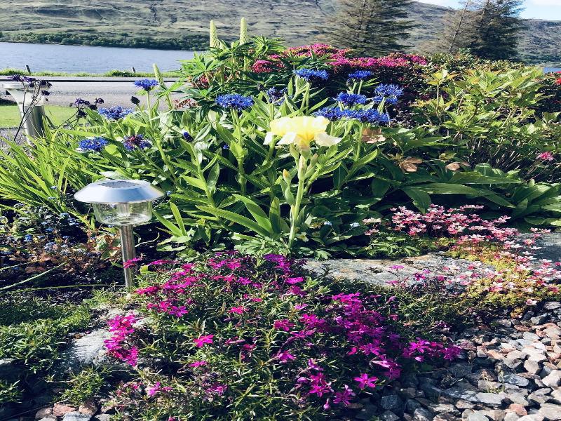 Hillview Guest House image
