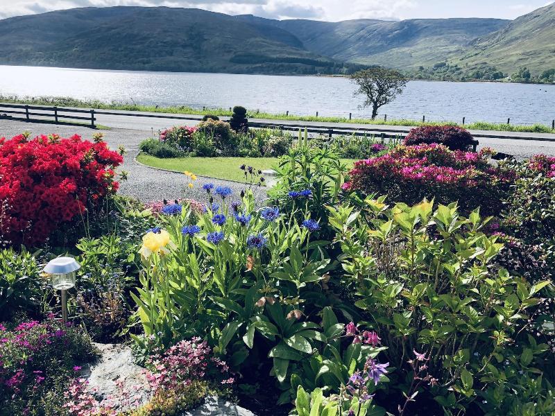 Hillview Guest House image