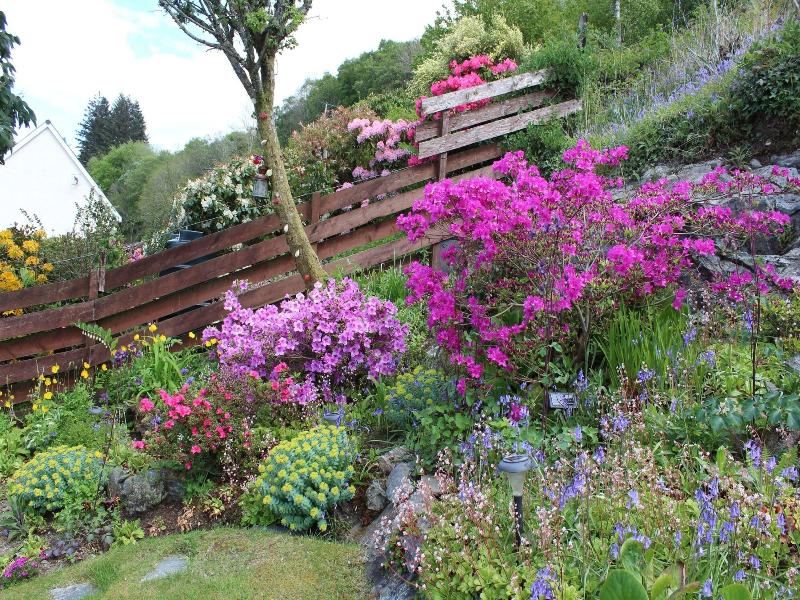 Hillview Guest House image