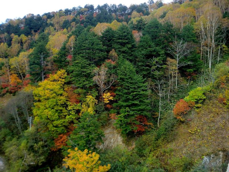 Hotel Sunny Shiga image