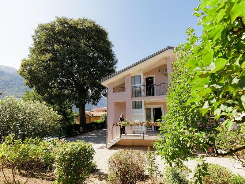 B&b L'albero Maestro image