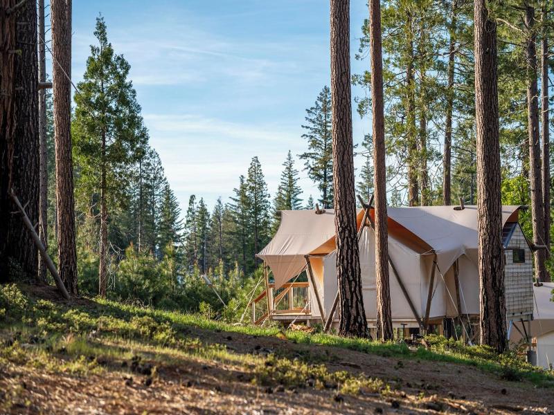 Under Canvas Yosemite image