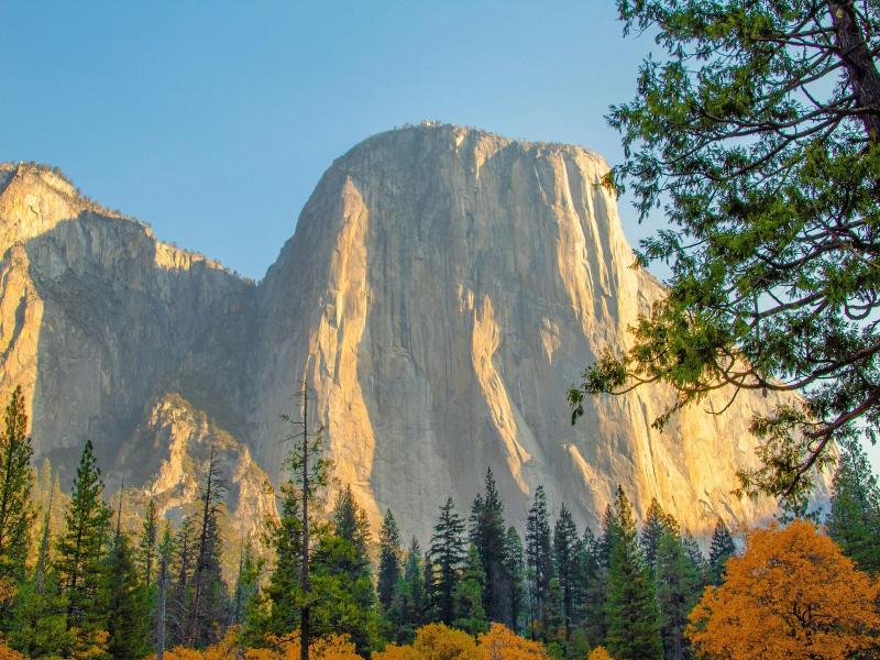 Under Canvas Yosemite image