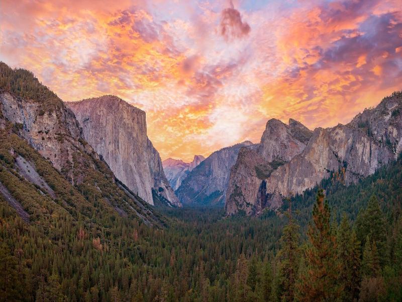 Under Canvas Yosemite image