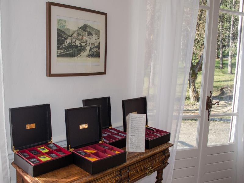 Hotel Lac Et Foret image