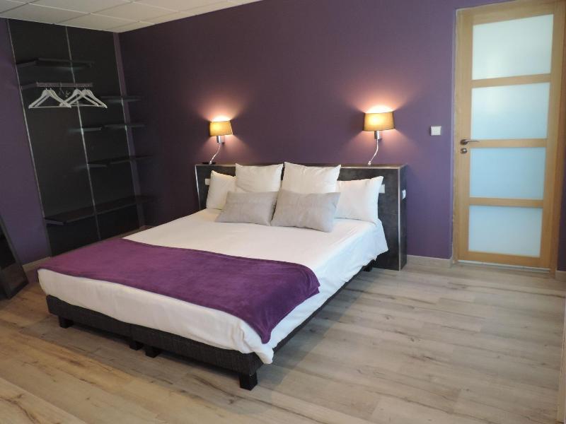 Hotel Lac Et Foret image