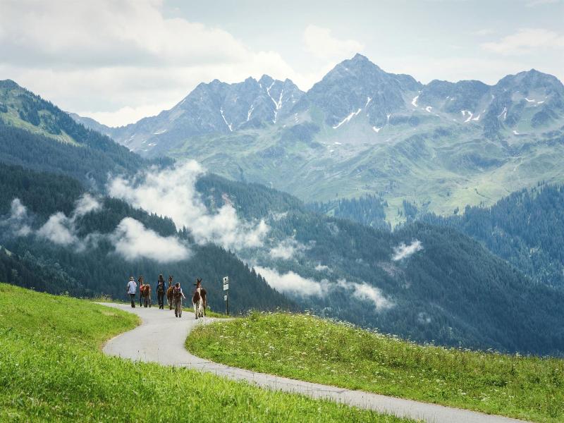 Falkensteiner Hotel Montafon - The Leading Hotel image