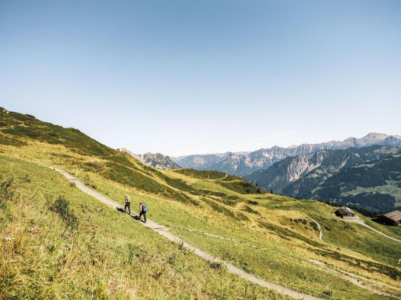 Falkensteiner Hotel Montafon - The Leading Hotel image